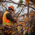 Safe & Efficient Tree Care: The Equipment Professionals Rely On In Kalamazoo