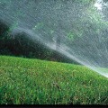 How Tree Service Equipment Influences Omaha Sprinkler System Pricing