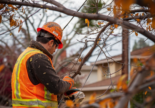 Safe & Efficient Tree Care: The Equipment Professionals Rely On In Kalamazoo