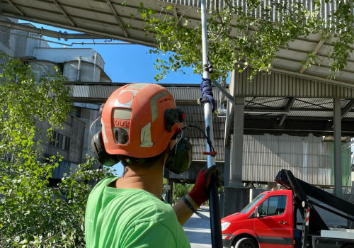 The Advantages Of Hiring A Tree Service Company In Orange County With Complete Tree Service Equipment